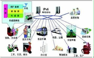 网络信息技术开发中信息源信息的具体表现