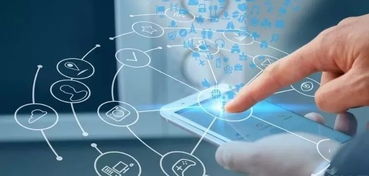 科技之刃，守护个人信息 网络安全关键词与你我息息相关