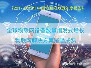 2018中国物联网（IoT）报告 网络信息技术开发进展与趋势